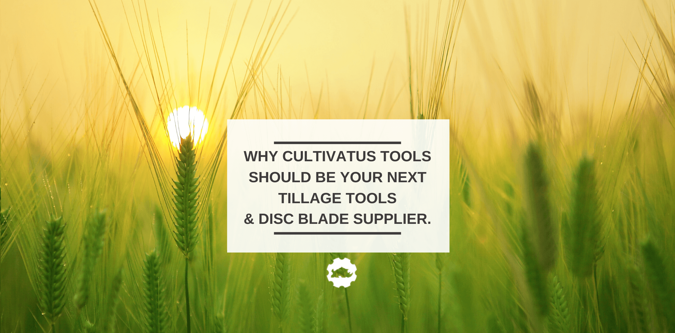 why cultivatus