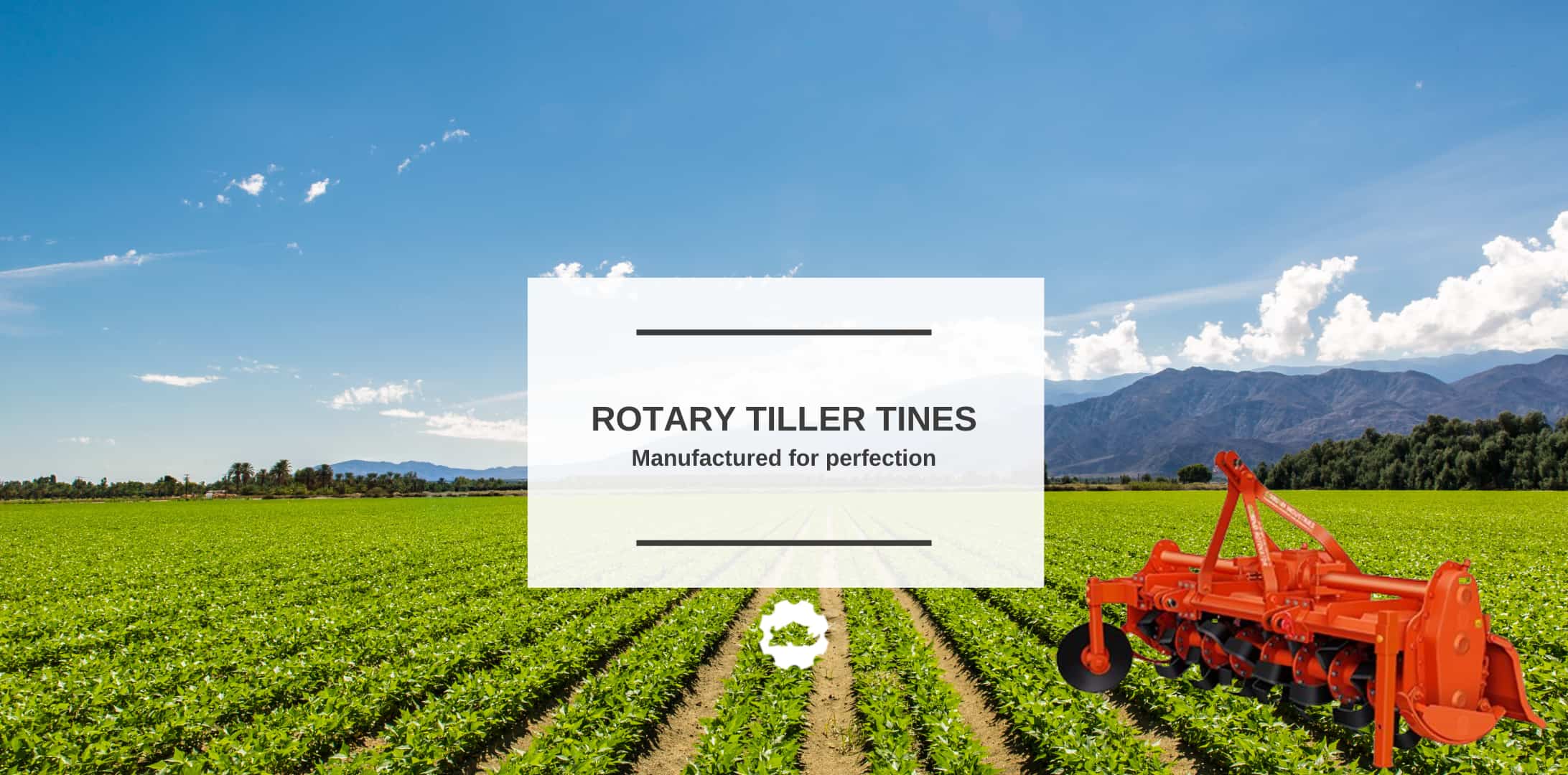 Rotary tiller tines